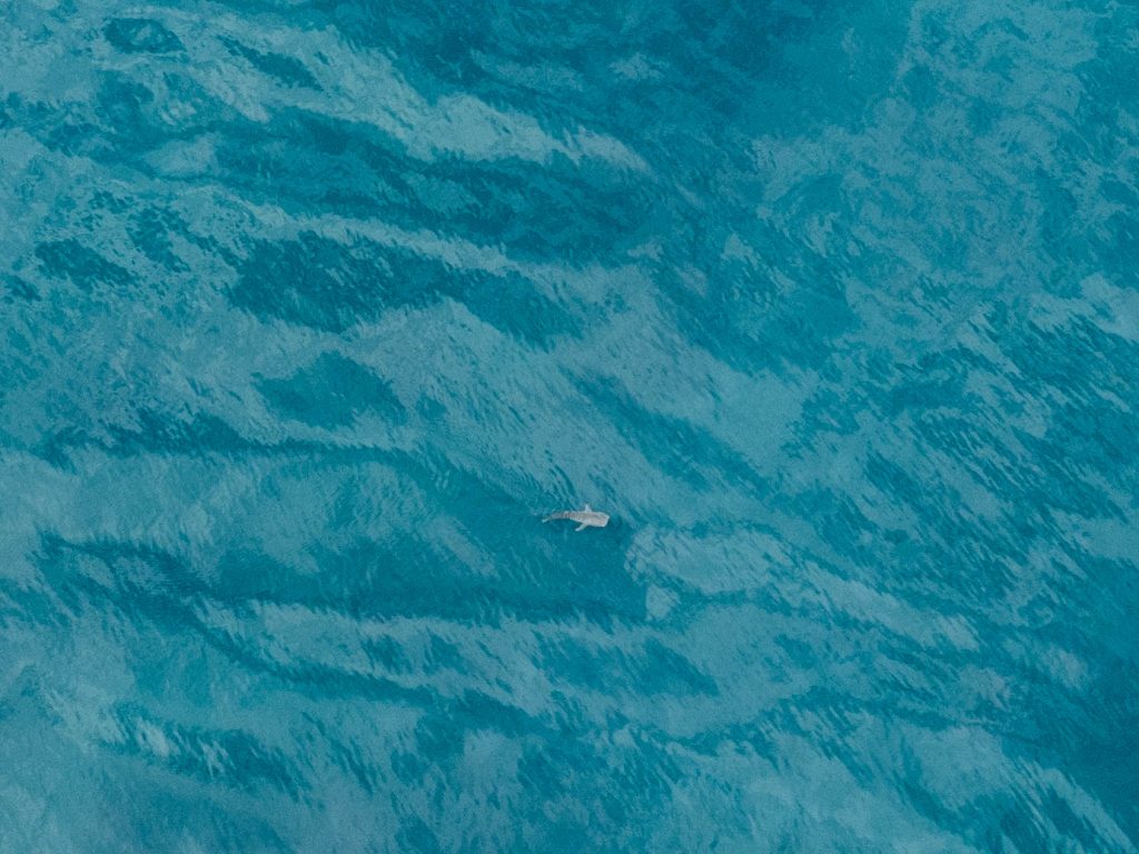 Time-Tide-Miavana-Travel-Blog-Nosy-Ankao-Madagascar-Blue-Safari-Luxury