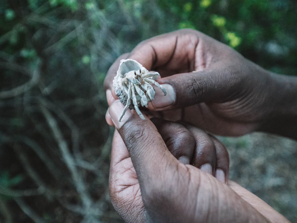 Time-Tide-Miavana-Travel-Blog-Nosy-Ankao-Madagascar-Blue-Safari-Luxury