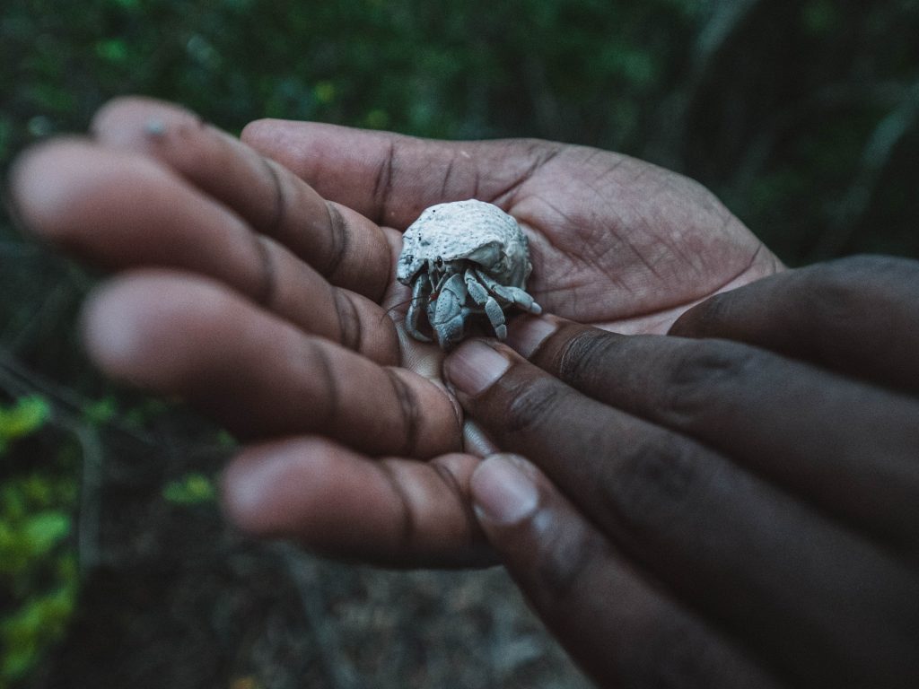 Time-Tide-Miavana-Travel-Blog-Nosy-Ankao-Madagascar-Blue-Safari-Luxury