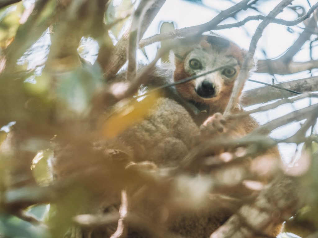 Time-Tide-Miavana-Travel-Blog-Nosy-Ankao-Madagascar-Blue-Safari-Luxury