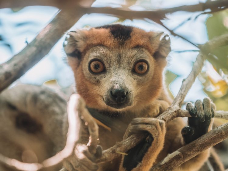 Time-Tide-Miavana-Travel-Blog-Nosy-Ankao-Madagascar-Blue-Safari-Luxury