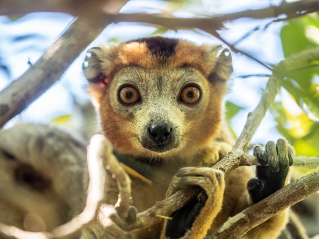 Time-Tide-Miavana-Travel-Blog-Nosy-Ankao-Madagascar-Blue-Safari-Luxury