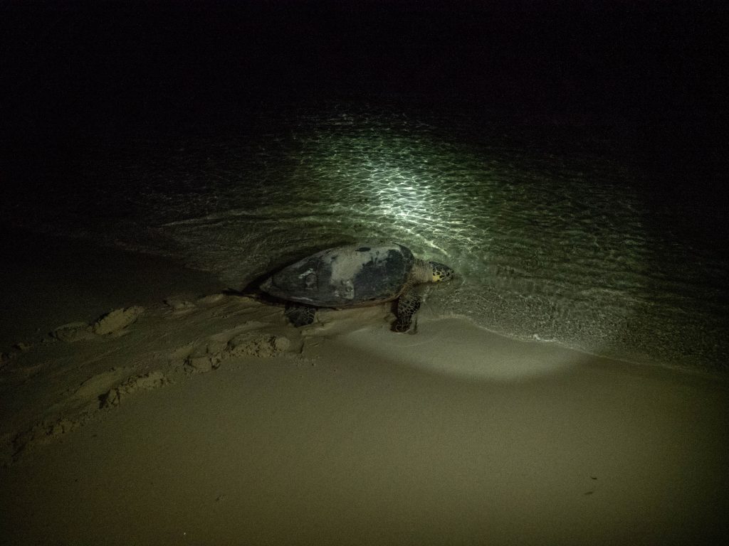 Time-Tide-Miavana-Travel-Blog-Nosy-Ankao-Madagascar-Blue-Safari-Luxury