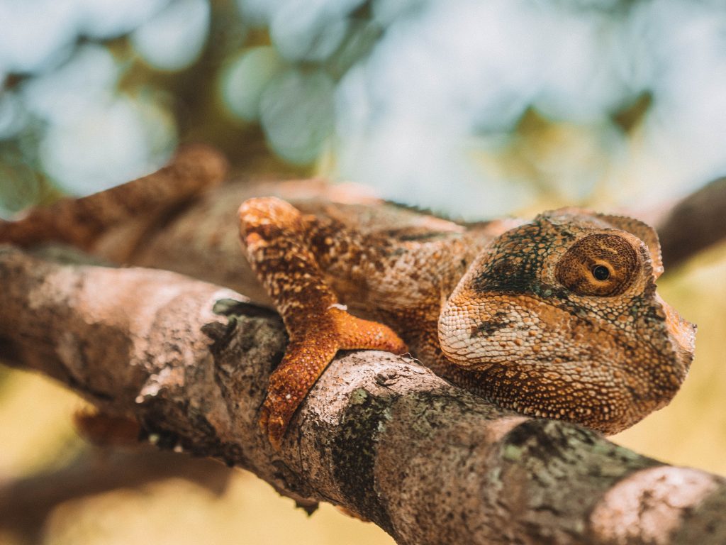 Time-Tide-Miavana-Travel-Blog-Nosy-Ankao-Madagascar-Blue-Safari-Luxury