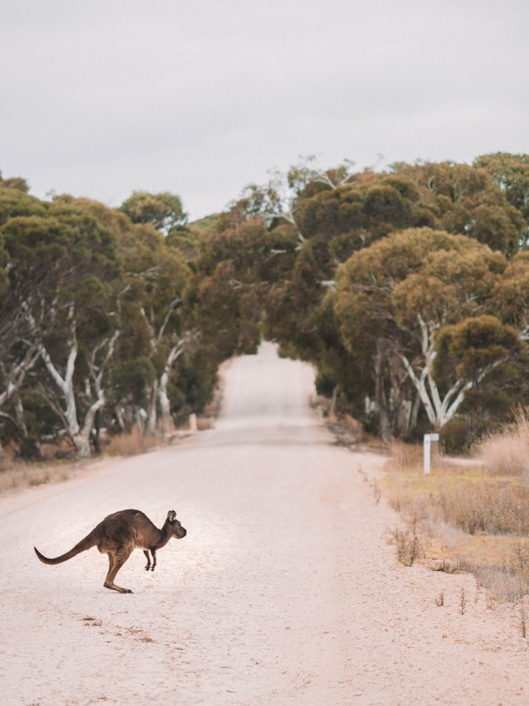 Flinders Chase National Park, Kangaroo Island, South Australia