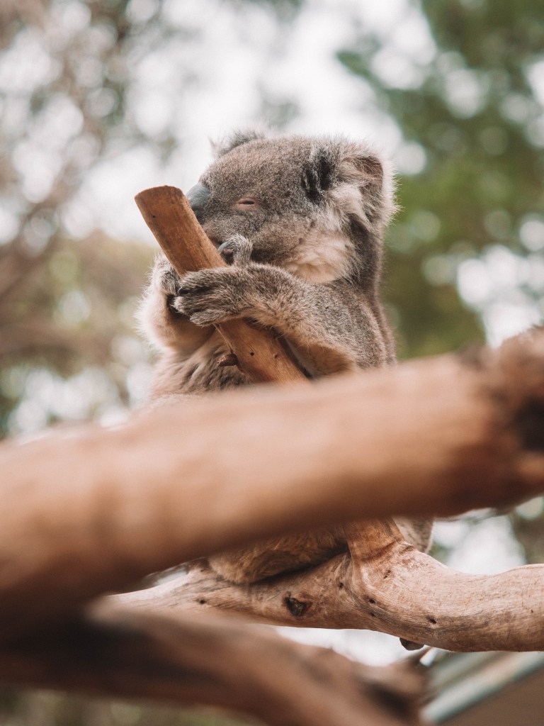 Kangaroo Island, South Australia