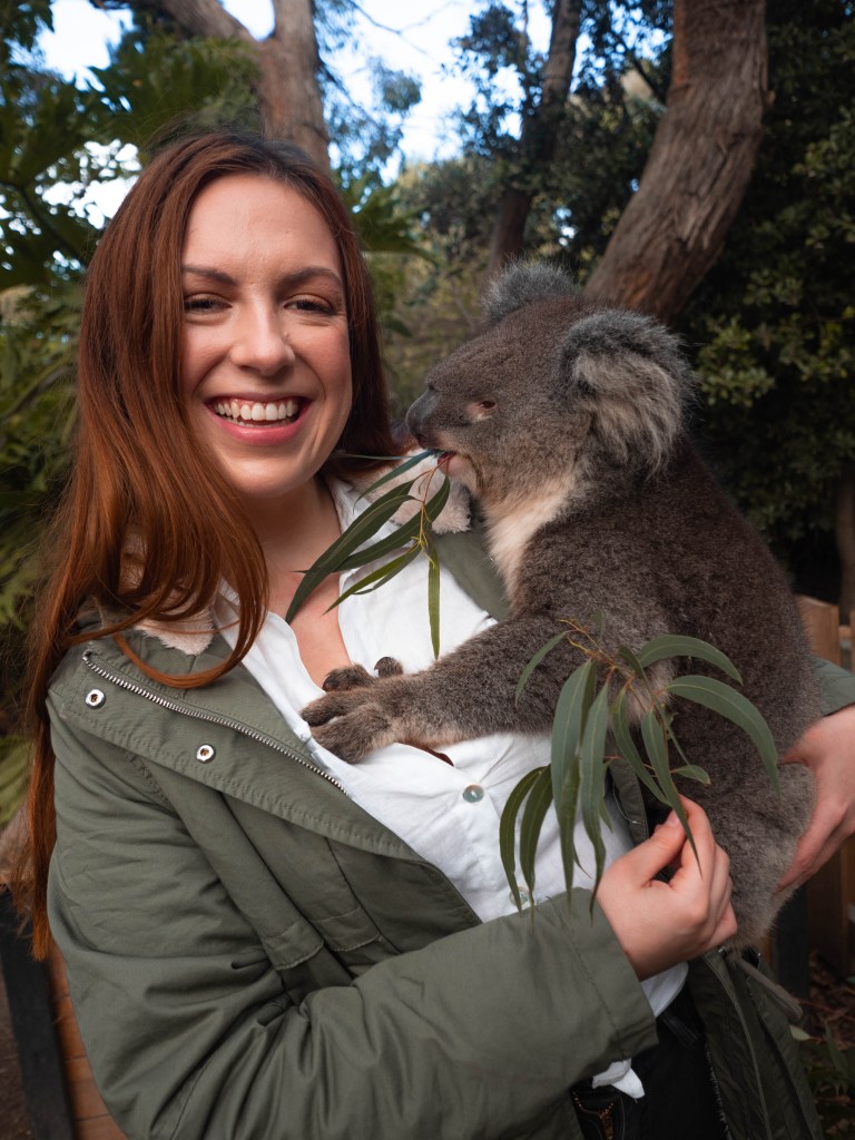Koala-Kangaroo-Island-South-Australia-Travel-Blog