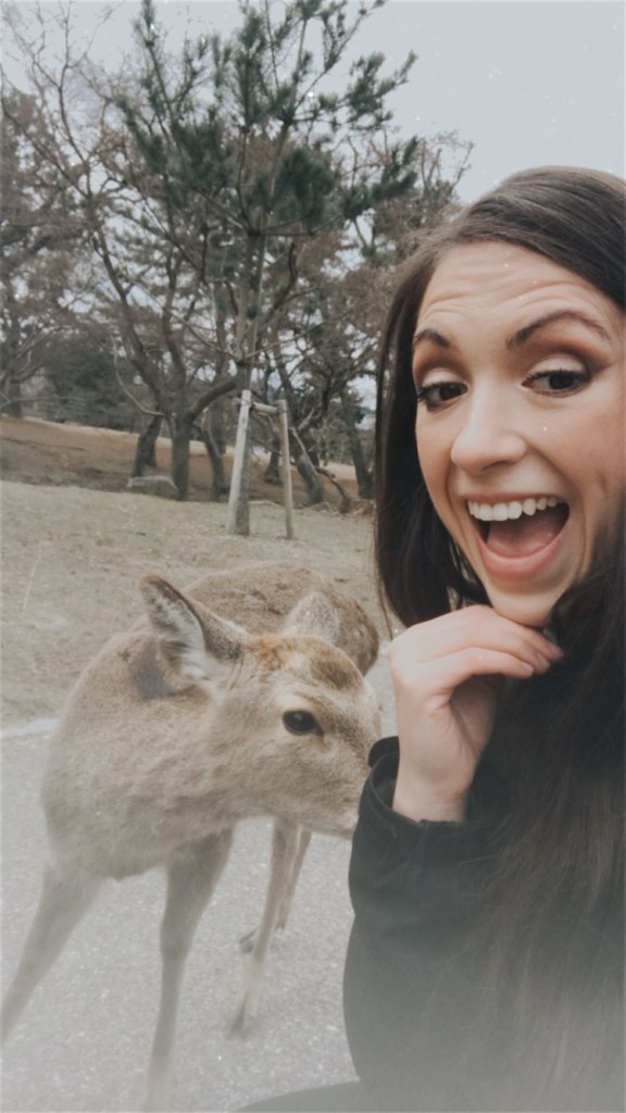 Nara-Japan-Deer-Temple-Travel-Blog