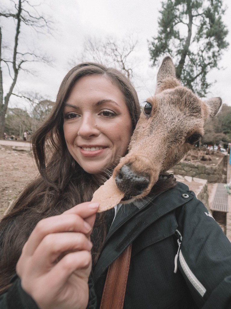 Nara-Japan-Deer-Temple-Travel-Blog
