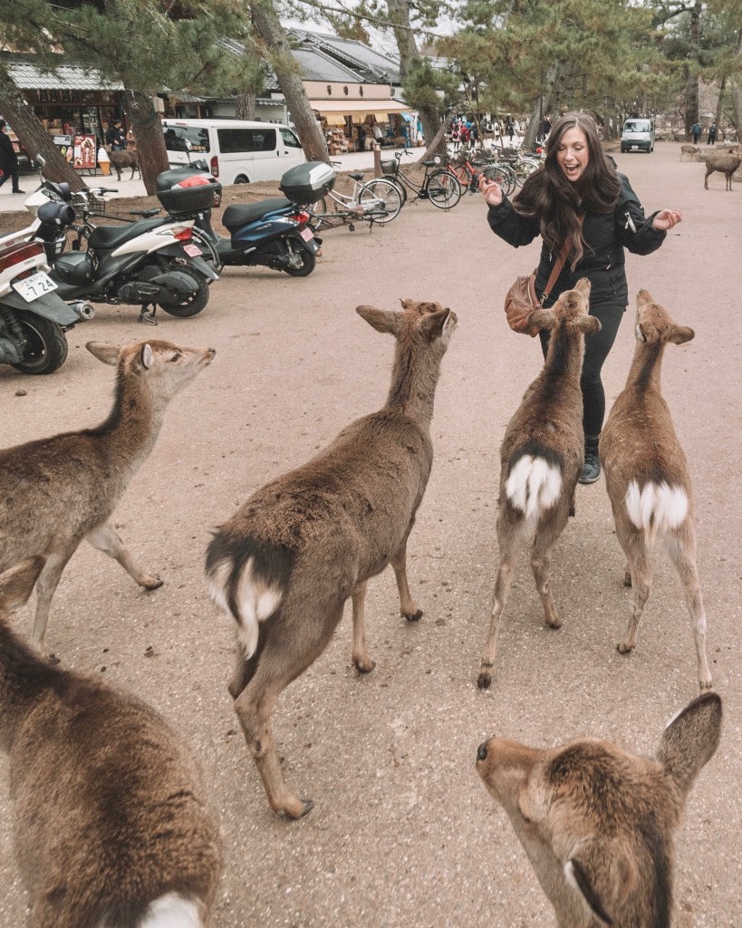 Nara-Japan-Deer-Temple-Travel-Blog