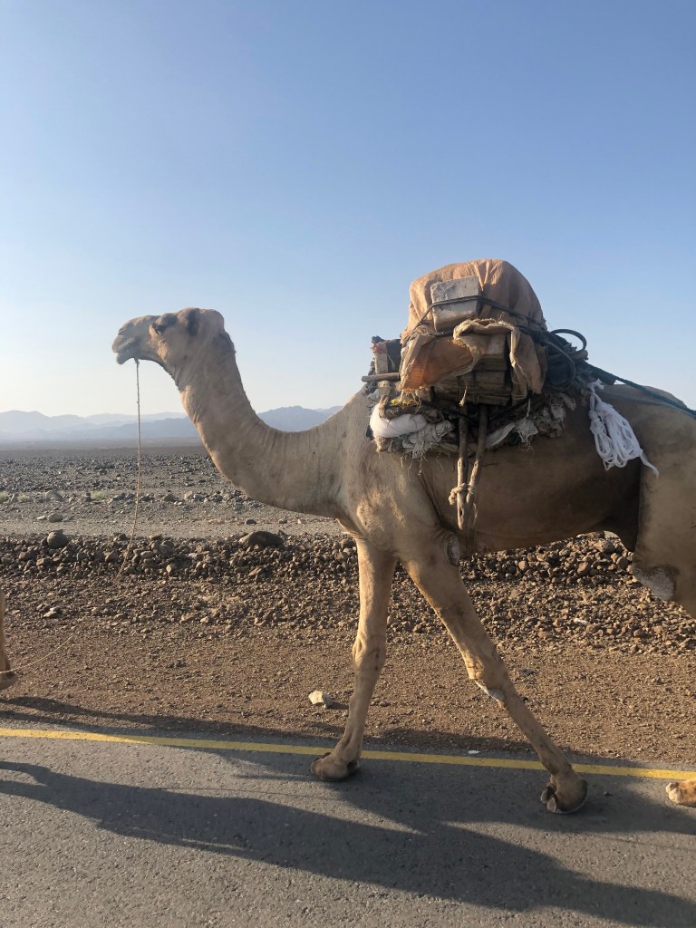 Ethiopia-Danakil-Depression-Mekelle-Travel-Blog