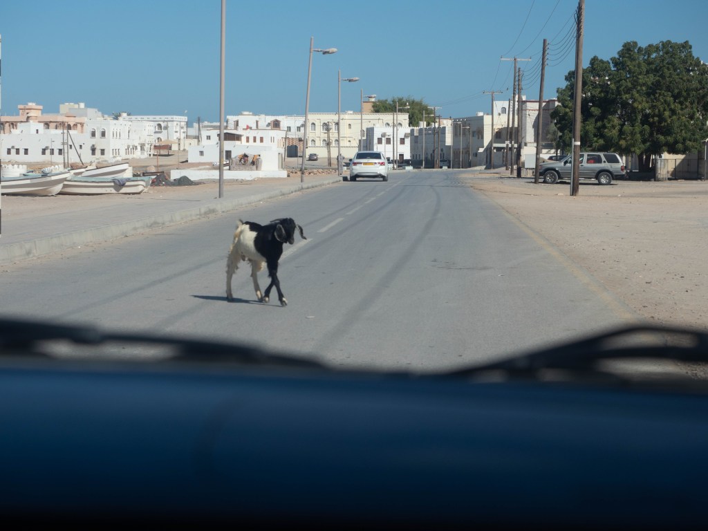 Muscat-Oman-Road-Trip-Travel-Blog-Sur-Fort-Lighthouse