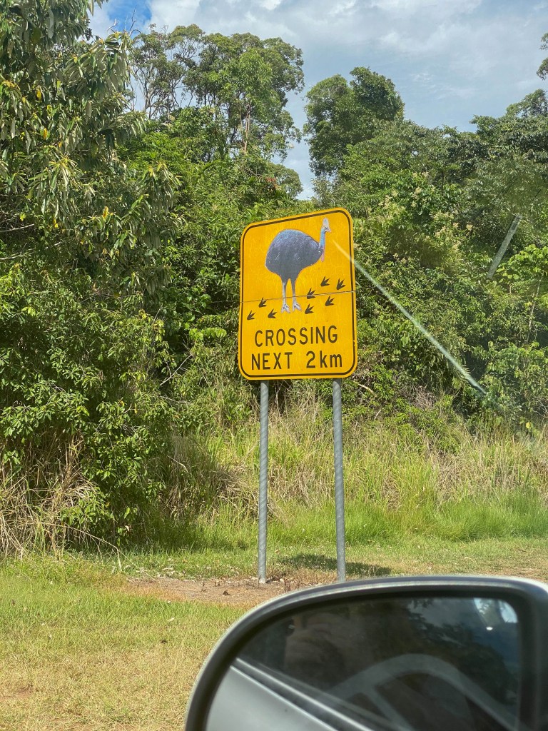 Queensland-Port-Douglas-Cape-Tribulation-Cairns-Girls-Trip-Travel-Blog