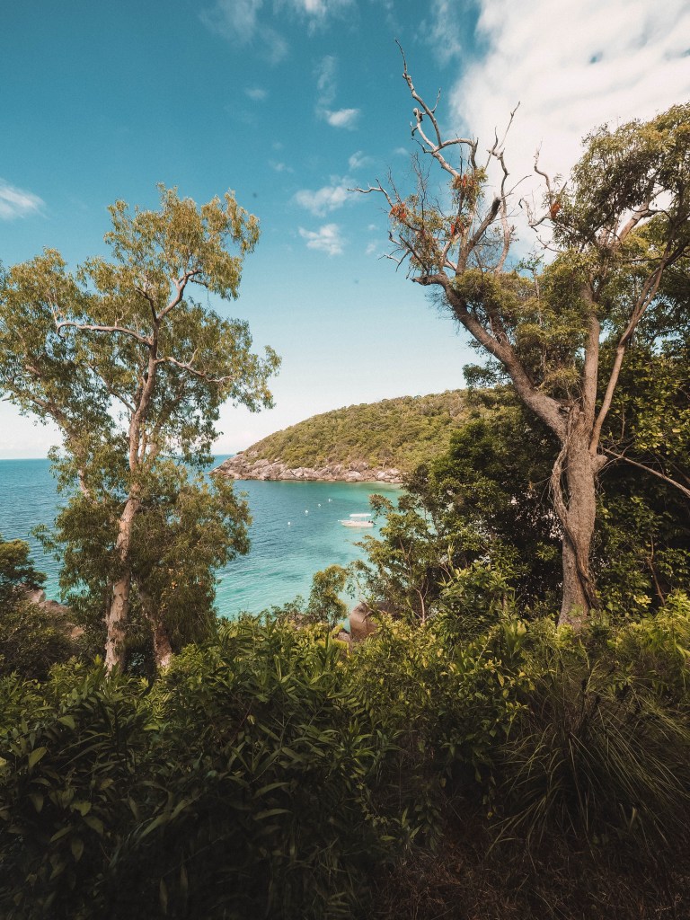 Queensland-Port-Douglas-Cape-Tribulation-Cairns-Girls-Trip-Travel-Blog