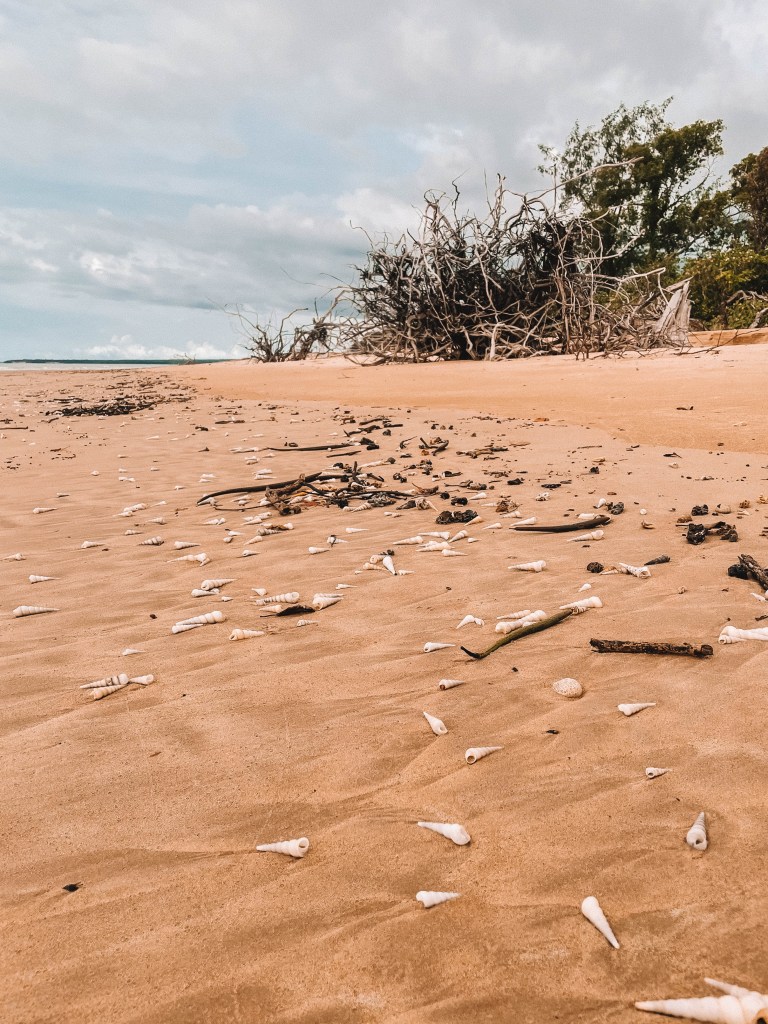 Tiwi-Islands-Northern-Territory-Australia-Travel-Guide-Blog