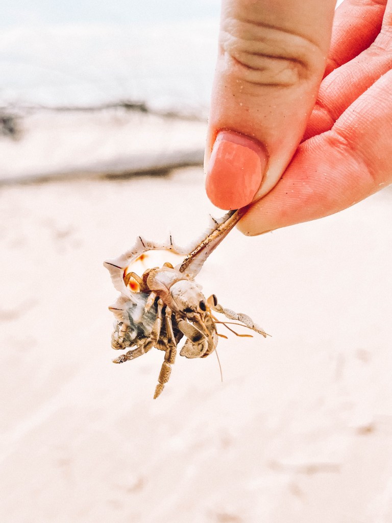 Tiwi-Islands-Northern-Territory-Australia-Travel-Guide-Blog