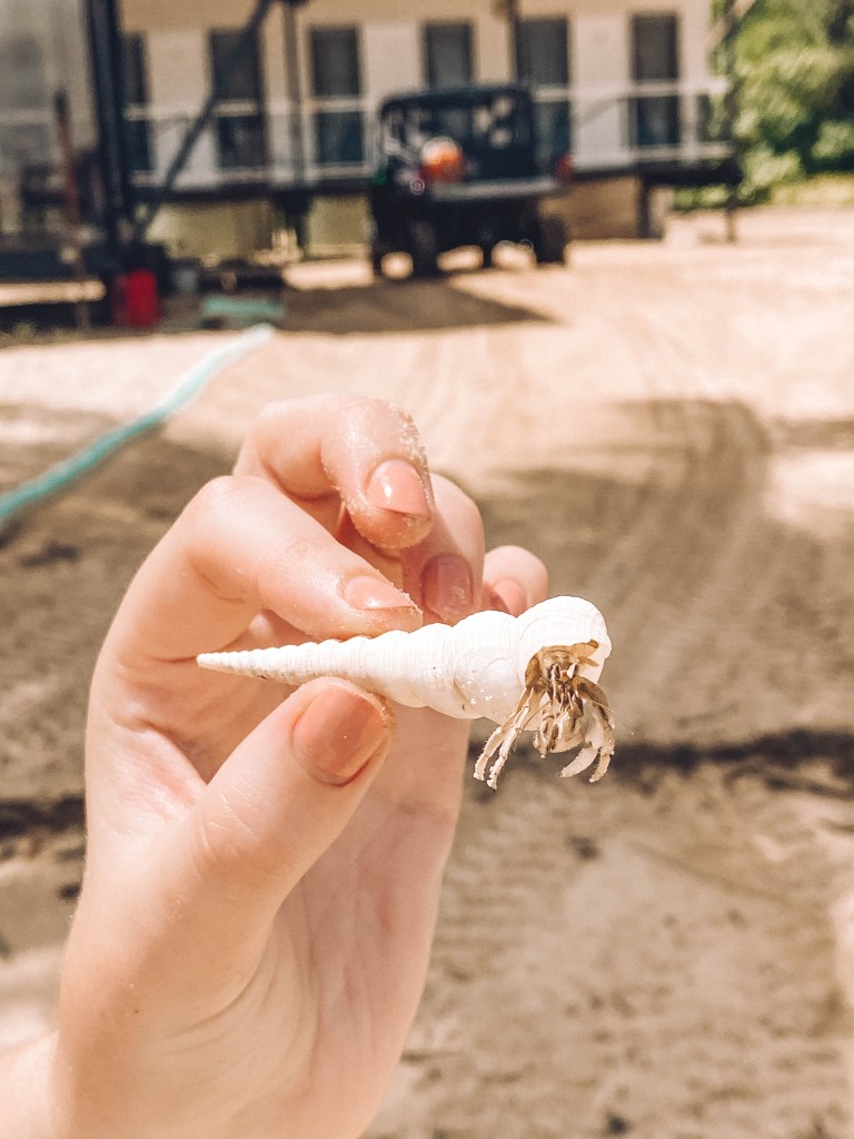 Tiwi-Islands-Northern-Territory-Australia-Travel-Guide-Blog