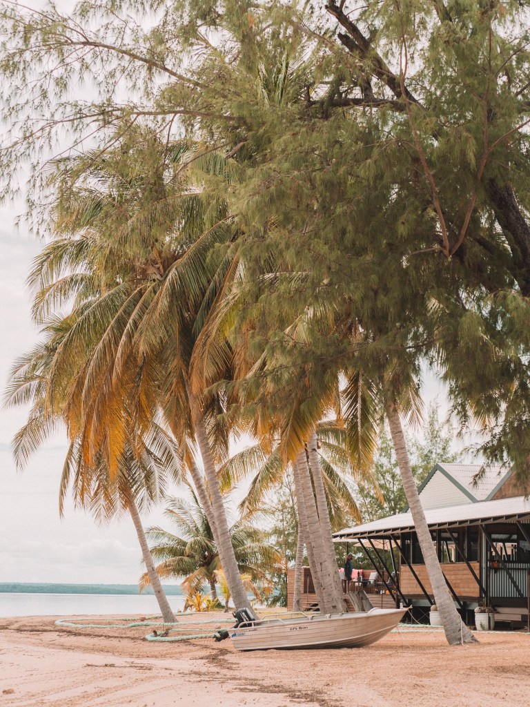 Tiwi-Islands-Northern-Territory-Darwin-Travel-Blog-Retreat