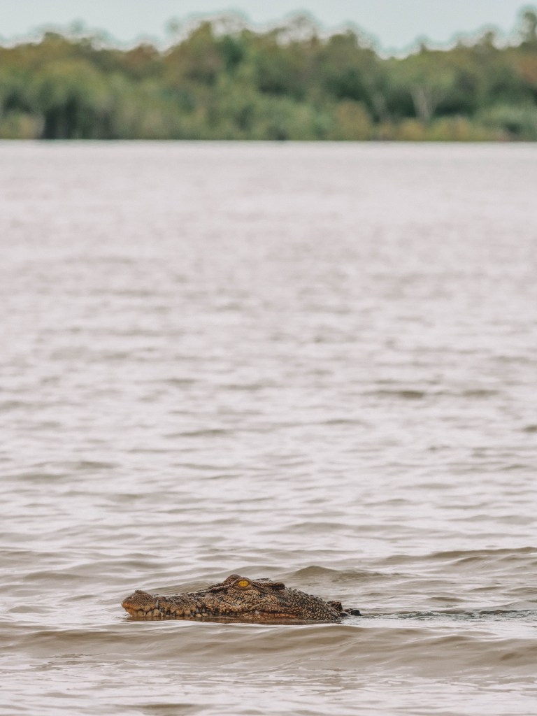 Tiwi-Islands-Northern-Territory-Darwin-Travel-Blog-Retreat