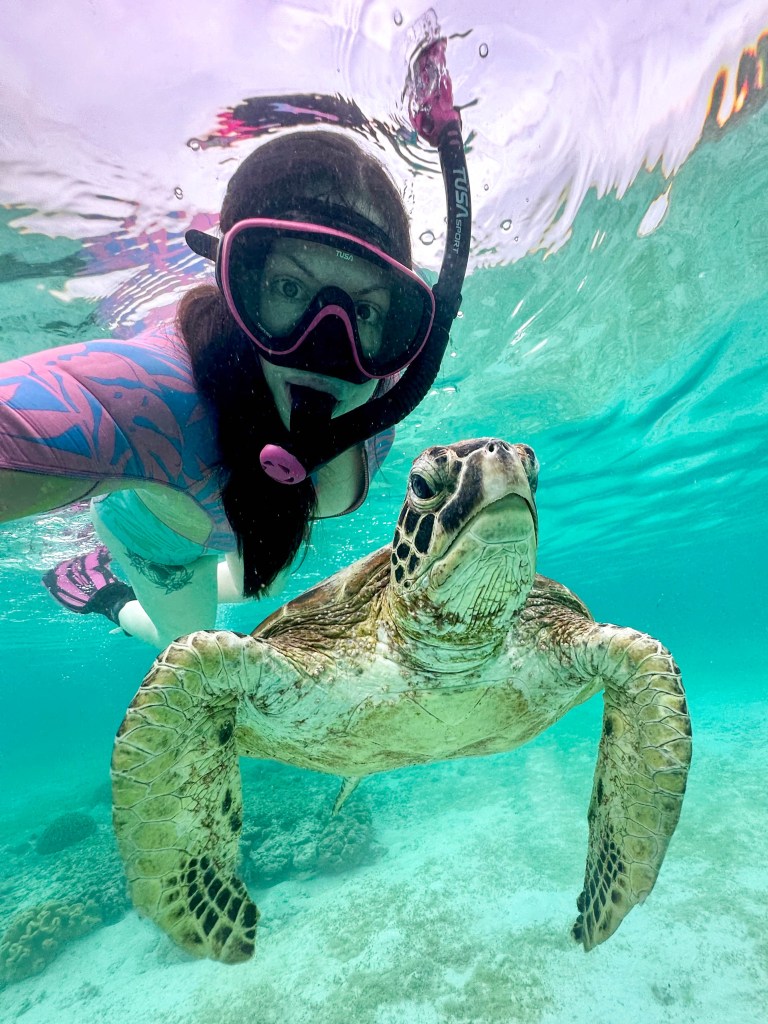 A bucket list worthy diving trip to Raja Ampat