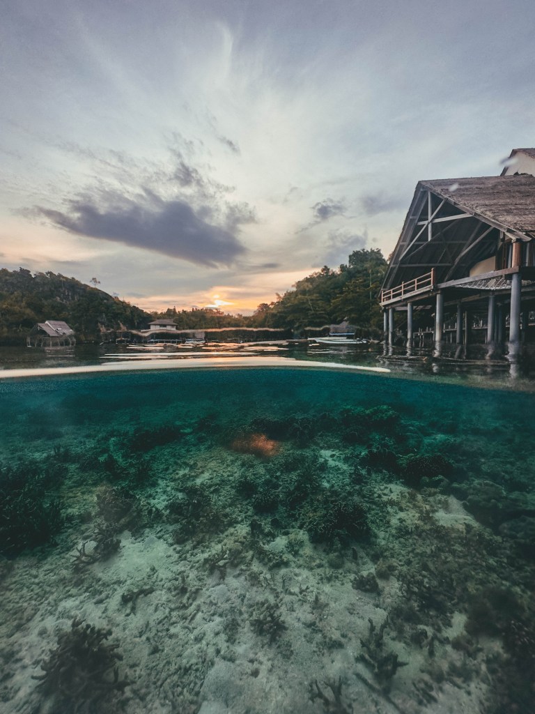 A bucket list worthy diving trip to Raja Ampat