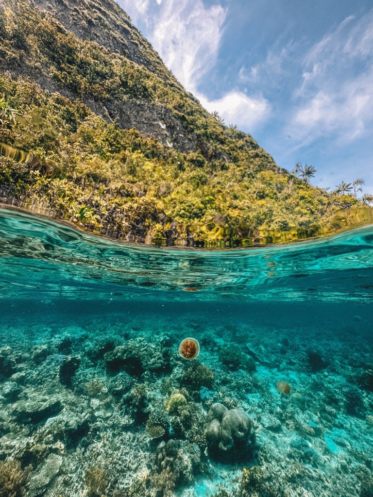 A bucket list worthy diving trip to Raja Ampat