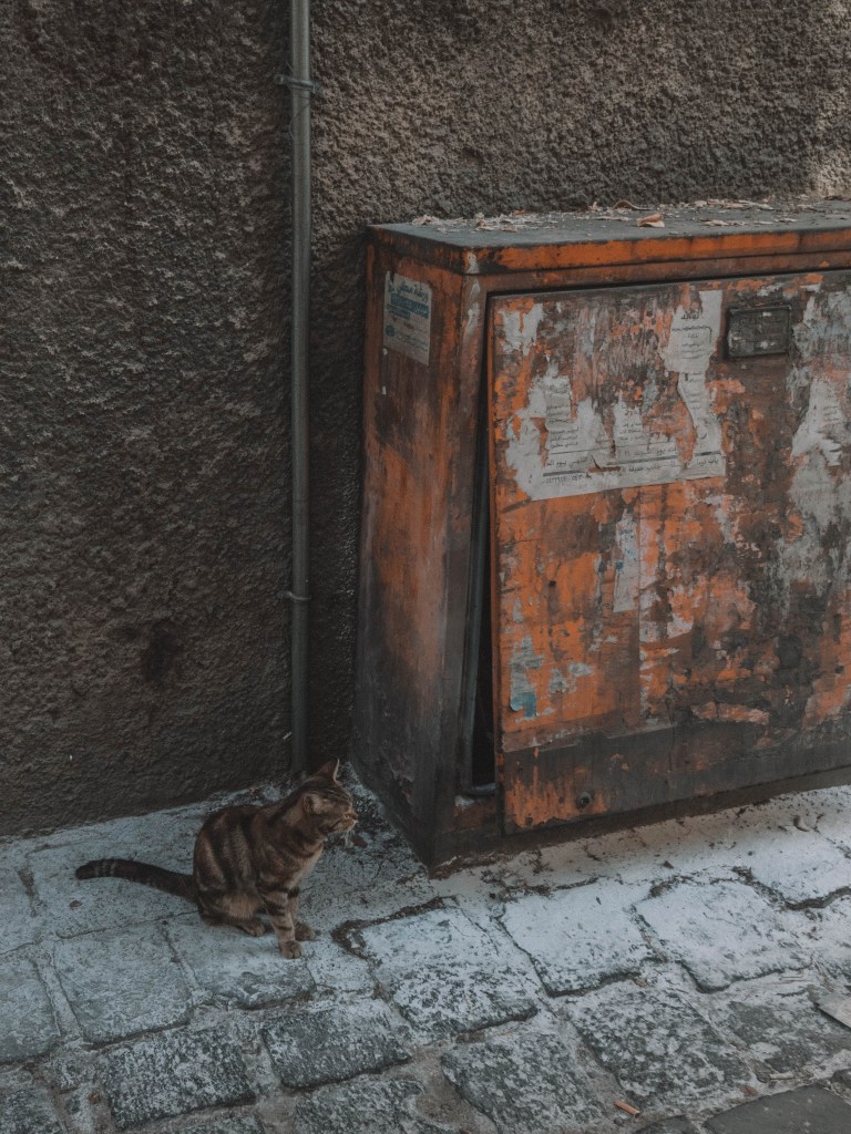 One incredible week in Syria!