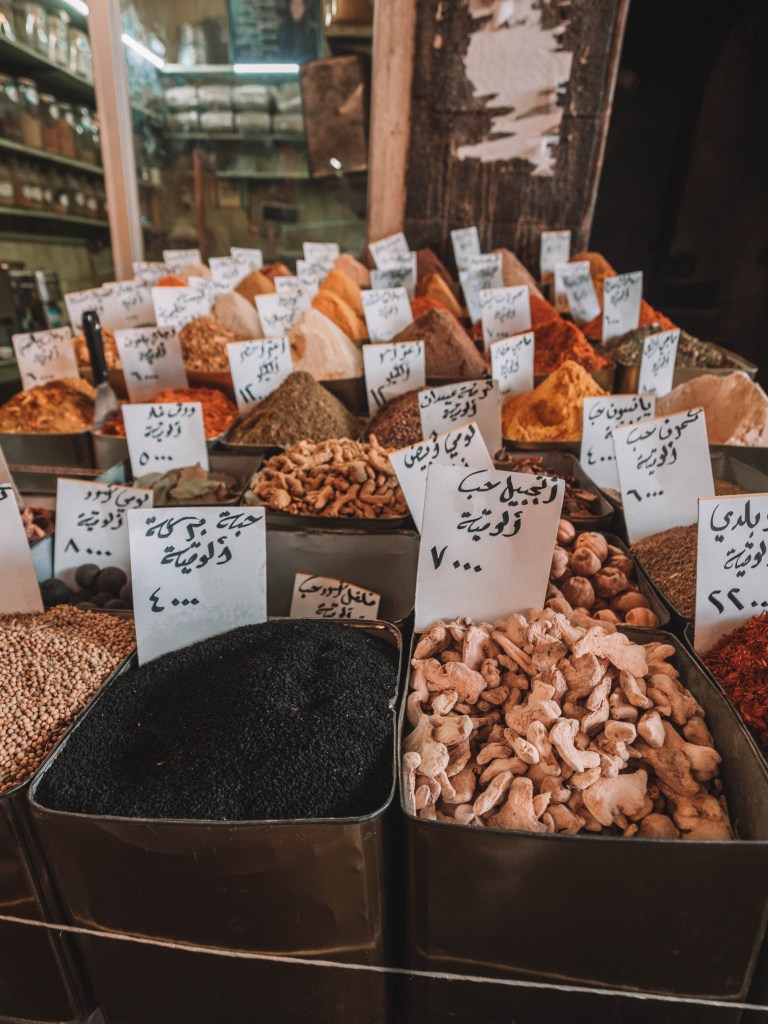 One incredible week in Syria!