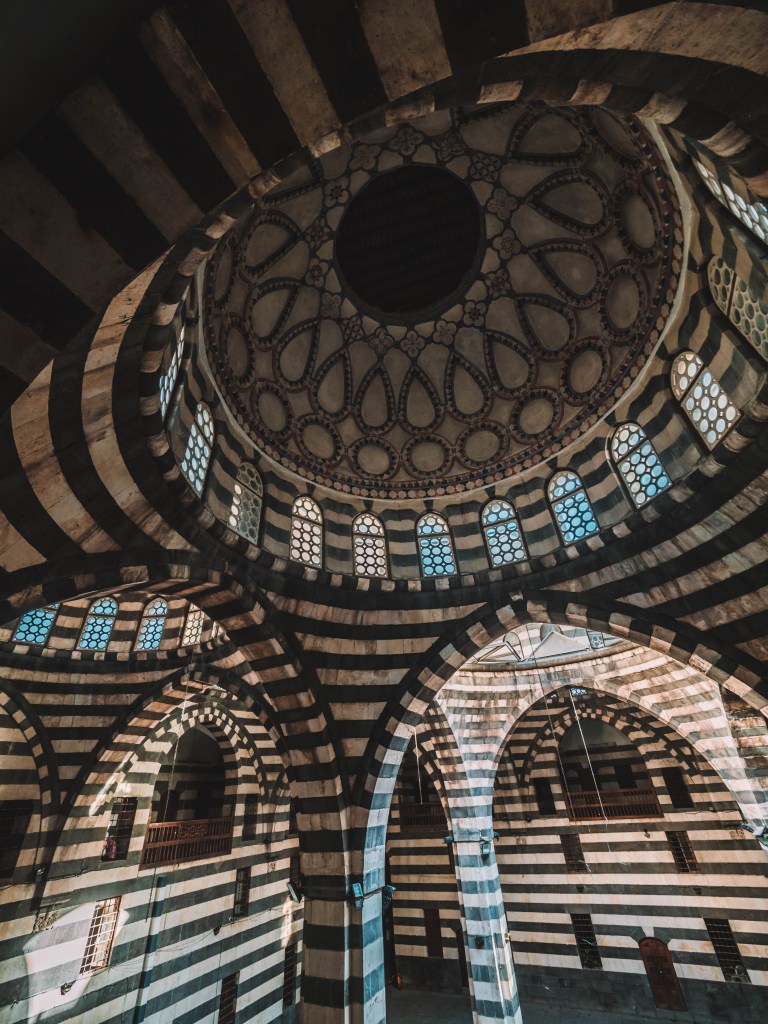 One incredible week in Syria!