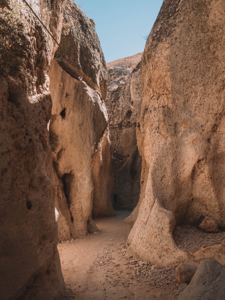 One incredible week in Syria!