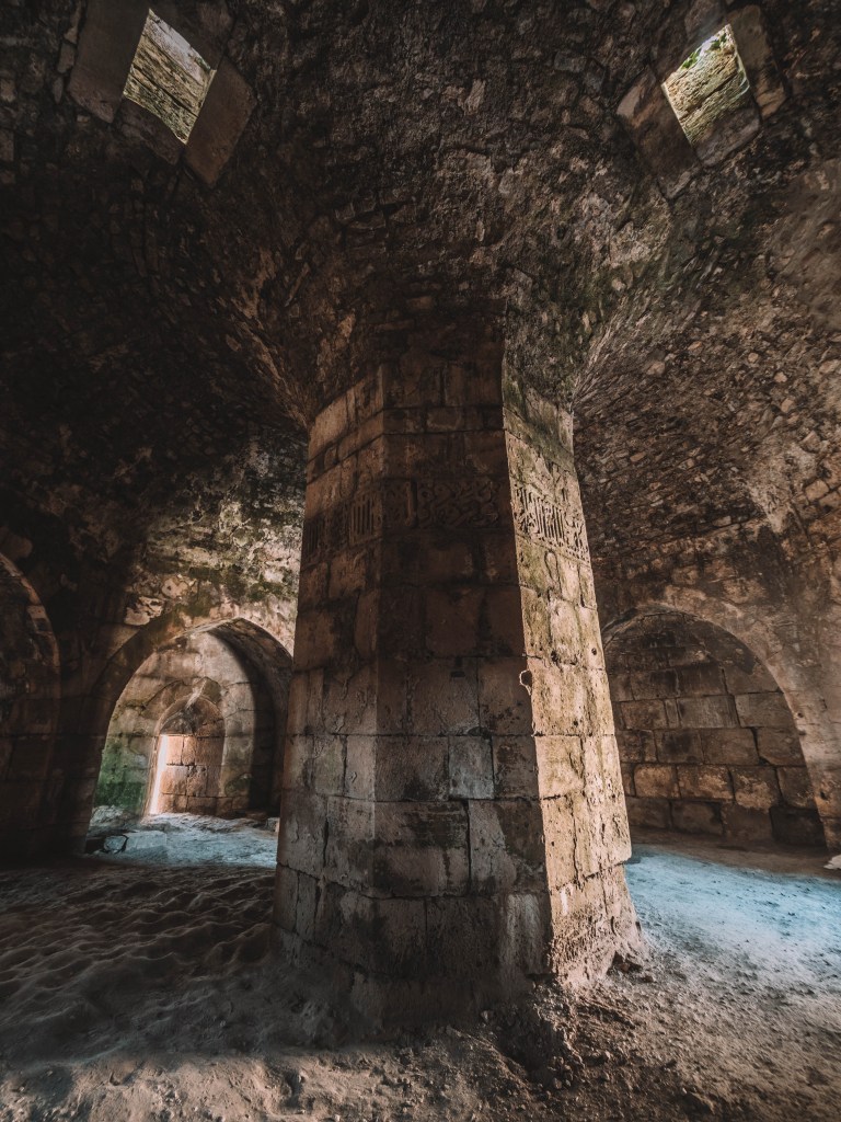 One incredible week in Syria!