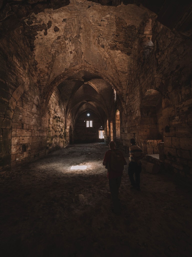 One incredible week in Syria!