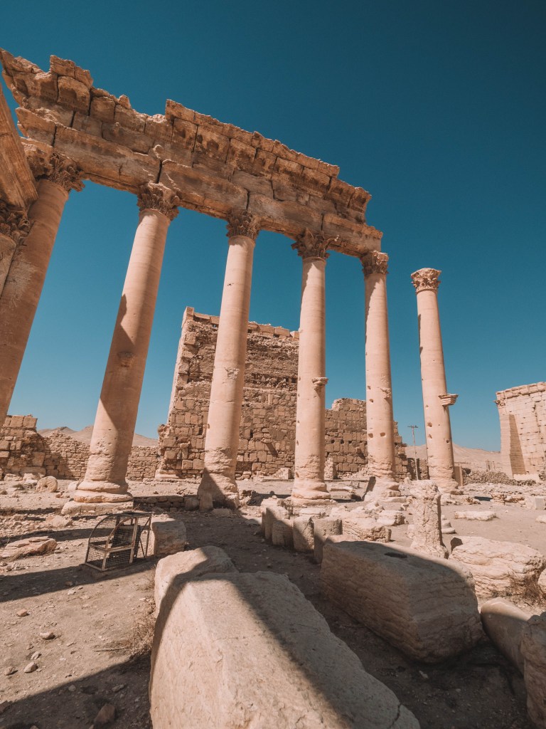 One incredible week in Syria!