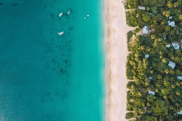 The most magical wildlife experience of my life in Tonga