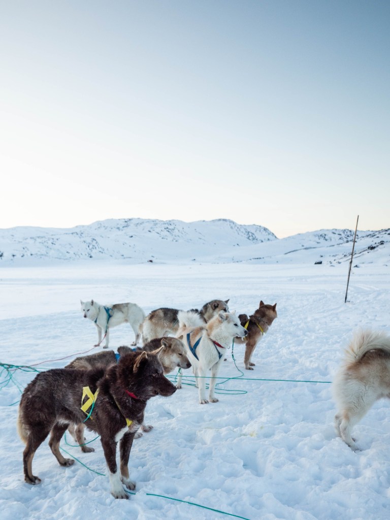 Spending a night at igloo lodge in greenland