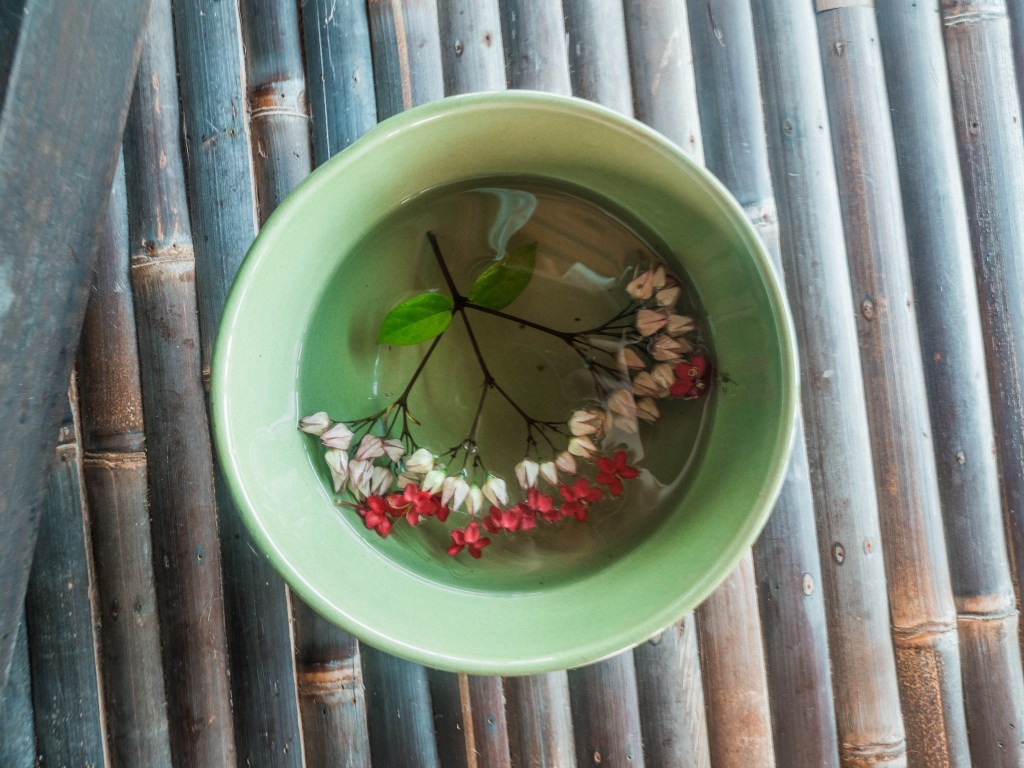 Returning to Cempedak Private Island